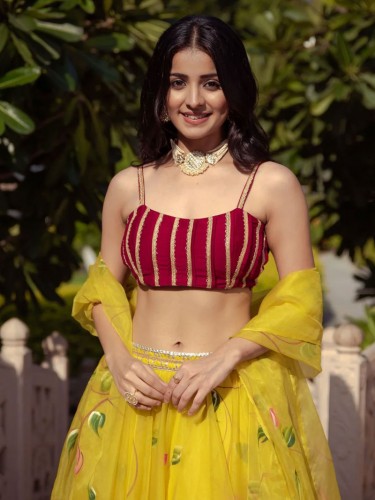 Yellow Organza Lehenga Choli